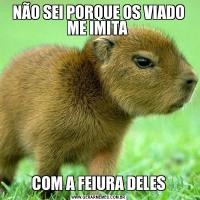 NÃO SEI PORQUE OS VIADO ME IMITA COM A FEIURA DELES
