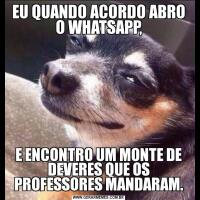EU QUANDO ACORDO ABRO O WHATSAPP,E ENCONTRO UM MONTE DE DEVERES QUE OS PROFESSORES MANDARAM.