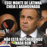 ESSE MONTE DE LATINHA CHEIA E ABANDONADANÃO ESTÁ ME CHEIRANDO NADA BEM