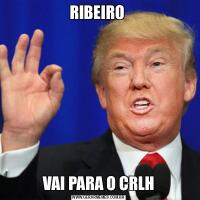 RIBEIRO VAI PARA O CRLH