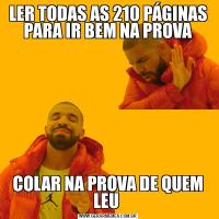 LER TODAS AS 210 PÁGINAS PARA IR BEM NA PROVACOLAR NA PROVA DE QUEM LEU 