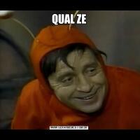 QUAL ZE