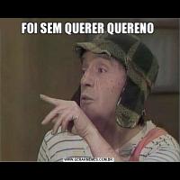 FOI SEM QUERER QUERENO 