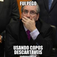 FUI PEGOUSANDO COPOS DESCARTÁVEIS