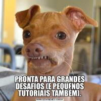 PRONTA PARA GRANDES DESAFIOS (E PEQUENOS TUTORIAIS TAMBÉM).