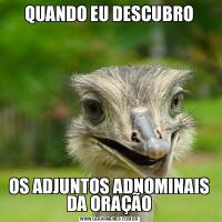 QUANDO EU DESCUBROOS ADJUNTOS ADNOMINAIS DA ORAÇÃO