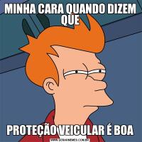 MINHA CARA QUANDO DIZEM QUEPROTEÇÃO VEICULAR É BOA