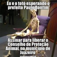 Eu e o totó esperando o prefeito Paulo BonfimAssinar para liberar o Conselho de Proteção Animal, no município de Juazeiro 