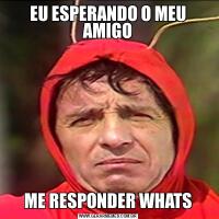 EU ESPERANDO O MEU AMIGOME RESPONDER WHATS