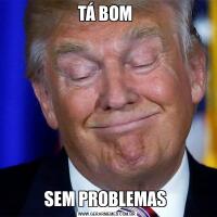 TÁ BOM SEM PROBLEMAS 
