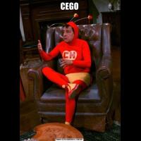 CEGO