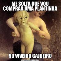 ME SOLTA QUE VOU COMPRAR UMA PLANTINHANO VIVEIRO CAJUEIRO