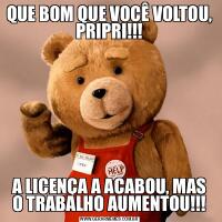 QUE BOM QUE VOCÊ VOLTOU, PRIPRI!!!A LICENÇA A ACABOU, MAS O TRABALHO AUMENTOU!!!