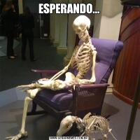 ESPERANDO...