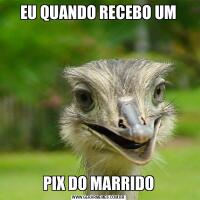 EU QUANDO RECEBO UMPIX DO MARRIDO