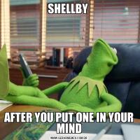 SHELLBY AFTER YOU PUT ONE IN YOUR MIND