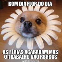 BOM DIA FLOR DO DIA AS FÉRIAS ACABARAM MAS O TRABALHO NÃO RSRSRS