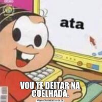 VOU TE DEITAR NA COELHADA.