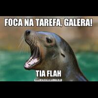 FOCA NA TAREFA, GALERA!TIA FLAH