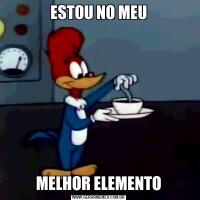 ESTOU NO MEUMELHOR ELEMENTO