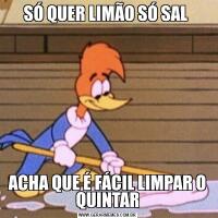 SÓ QUER LIMÃO SÓ SAL ACHA QUE É FÁCIL LIMPAR O QUINTAR