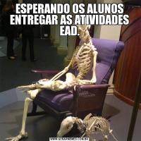 ESPERANDO OS ALUNOS ENTREGAR AS ATIVIDADES EAD.