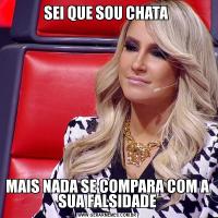 SEI QUE SOU CHATA MAIS NADA SE COMPARA COM A SUA FALSIDADE