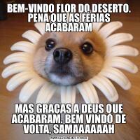 BEM-VINDO FLOR DO DESERTO. PENA QUE AS FÉRIAS ACABARAMMAS GRAÇAS A DEUS QUE ACABARAM. BEM VINDO DE VOLTA, SAMAAAAAAH