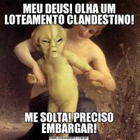 MEU DEUS! OLHA UM LOTEAMENTO CLANDESTINO!ME SOLTA! PRECISO EMBARGAR!