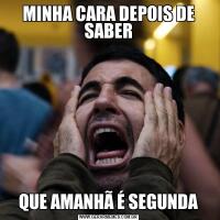 MINHA CARA DEPOIS DE SABERQUE AMANHÃ É SEGUNDA