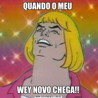 QUANDO O MEU WEY NOVO CHEGA!!