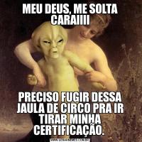 MEU DEUS, ME SOLTA CARAIIIIPRECISO FUGIR DESSA JAULA DE CIRCO PRA IR TIRAR MINHA CERTIFICAÇÃO. 