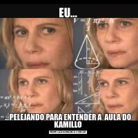 EU......PELEJANDO PARA ENTENDER A  AULA DO KAMILLO