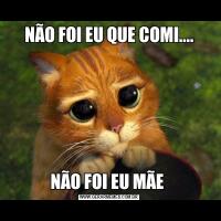 NÃO FOI EU QUE COMI....NÃO FOI EU MÃE 