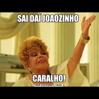 SAI DAÍ JOAOZINHO CARALHO!