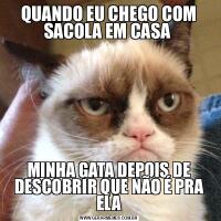 QUANDO EU CHEGO COM SACOLA EM CASA MINHA GATA DEPOIS DE DESCOBRIR QUE NÃO É PRA ELA