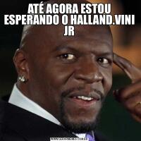 ATÉ AGORA ESTOU ESPERANDO O HALLAND.VINI JR