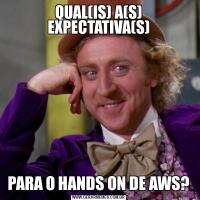 QUAL(IS) A(S) EXPECTATIVA(S)PARA O HANDS ON DE AWS?