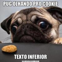 PUG OLHANDO PRO COOKIETEXTO INFERIOR