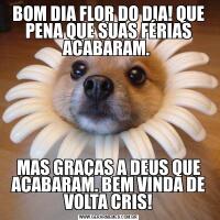 BOM DIA FLOR DO DIA! QUE PENA QUE SUAS FÉRIAS ACABARAM. MAS GRAÇAS A DEUS QUE ACABARAM. BEM VINDA DE VOLTA CRIS!