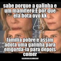 sabe porque a galinha e um mamifero:E por que ela bota ovo kkfamilia pobre e assim adota uma galinha para emgorda-la para depois comer