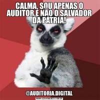 CALMA, SOU APENAS O AUDITOR E NÃO O SALVADOR DA PÁTRIA!@AUDITORIA.DIGITAL