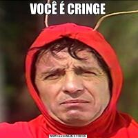 VOCÊ É CRINGE