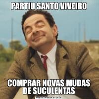 PARTIU SANTO VIVEIROCOMPRAR NOVAS MUDAS DE SUCULENTAS