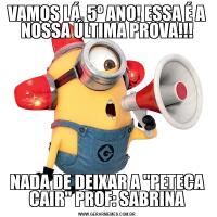 VAMOS LÁ, 5º ANO! ESSA É A NOSSA ÚLTIMA PROVA!!!NADA DE DEIXAR A "PETECA CAIR" PROF: SABRINA