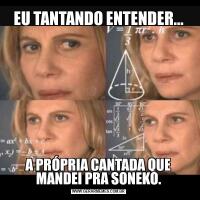 EU TANTANDO ENTENDER...A PRÓPRIA CANTADA QUE MANDEI PRA SONEKO.
