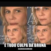 É TUDO CULPA DA BRUNA