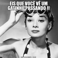 EIS QUE VOCÊ VÊ UM GATINHO PASSANDO !!