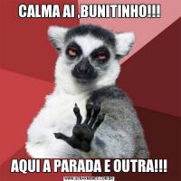 CALMA AI ,BUNITINHO!!!AQUI A PARADA E OUTRA!!!