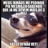MEUS IRMÃOS ME PEDINDO PIX MESMO EU SABENDO QUE JÁ ME DEVEM MAIS DE 3 MIL!FAZ EU RI NÃO VEY!